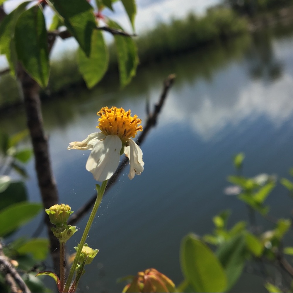 Meet your Posher, Annabelle